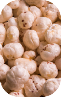 Fox Nuts