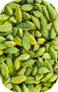 Cardamom