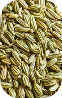 Fennel Seeds
