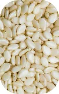 Sesame