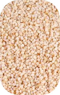 Poppy Seeds